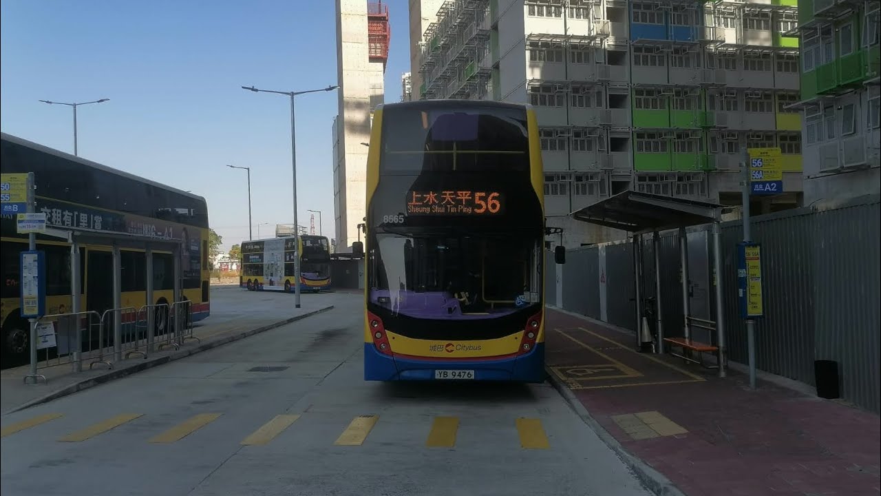 CTB 56 Ching Tin Estate to Sheung Shui Tin Ping Estate (8565 / YB9476)