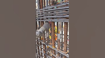 Rebar column installation skill #shorts #construction #building #civilengineering