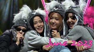Blackpink monthly update - Jun 2023
