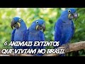 6 animais extintos fascinantes que viviam no Brasil