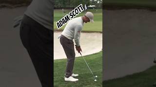 Adam Scott #golf #shortgame