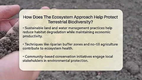 How Does The Ecosystem Approach Help Protect Terrestrial Biodiversity? - Ecosystem Essentials