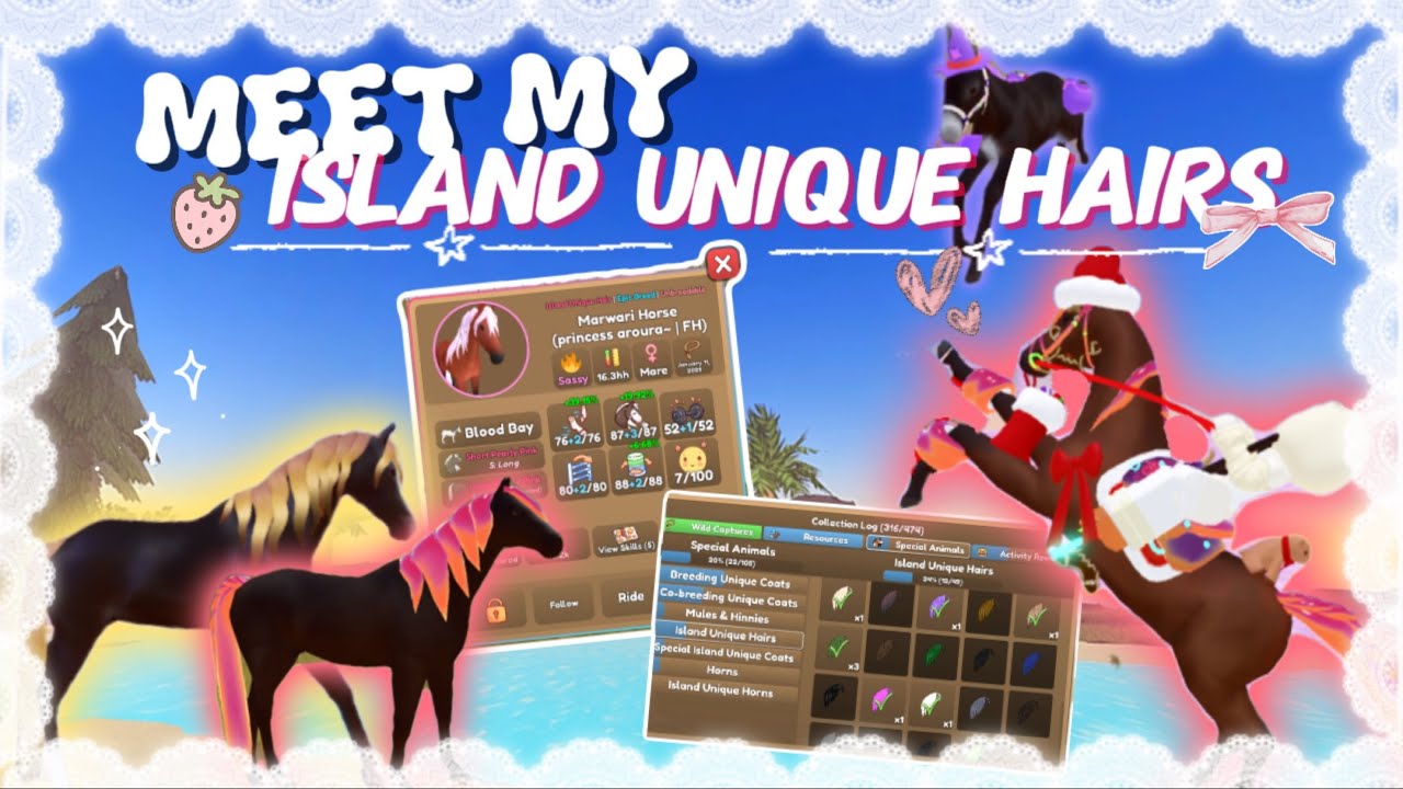 Знакомьтесь с моими учениками IUH в WHI! 🤯💛 || Острова Дикой Лошади