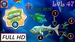 60 FPS | Feeding Frenzy 2 in HD (Level 47: Spot The Ink) | Gameplay | @gamingteachernepal