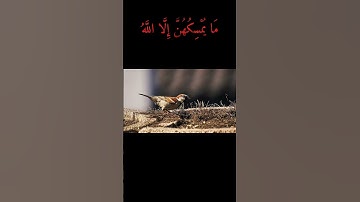 وفي الأرضِ آياتٌ لِلموقنين، وفي أنفسِكمْ أفلا تُبصرون #اكسبلور #طبيعة ساحرة#explorer