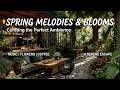 Garden Morning Vibes ~ Spring Flowers Ambience &amp; Relaxing Spring Morning Music For Study