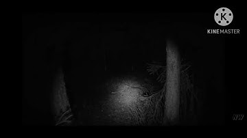 Ṿëṅġëäṅċë ïṡ ṁïṅë. Ї ẅïḷḷ ṛëṗäÿ. 