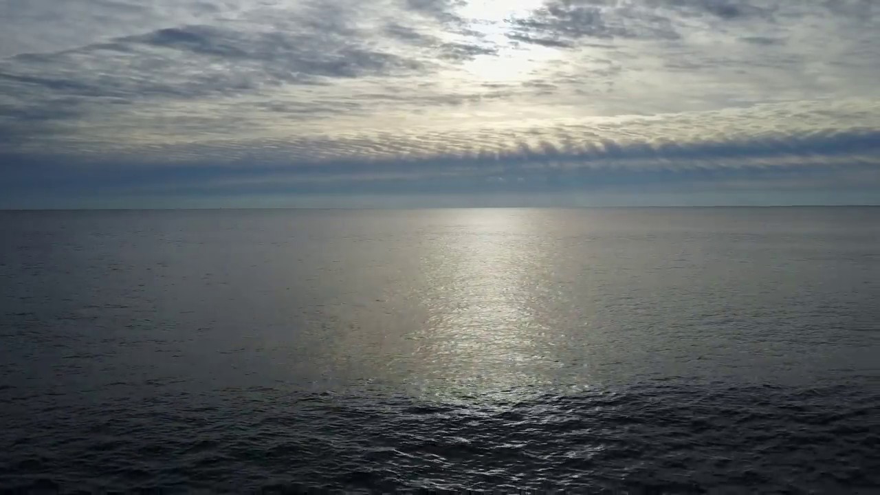 Dolphins at Carolina Beach YouTube