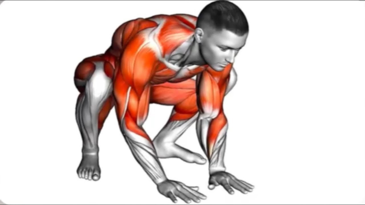 Simple Exercise For Total Body Fitness & Mobility Check| Body ...
