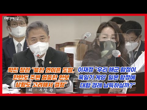 박진 &amp;quot;노무현 정부 때 일본 함정 자위함 기 게양 입항 고려해 관함식 참가 판단&amp;quot;