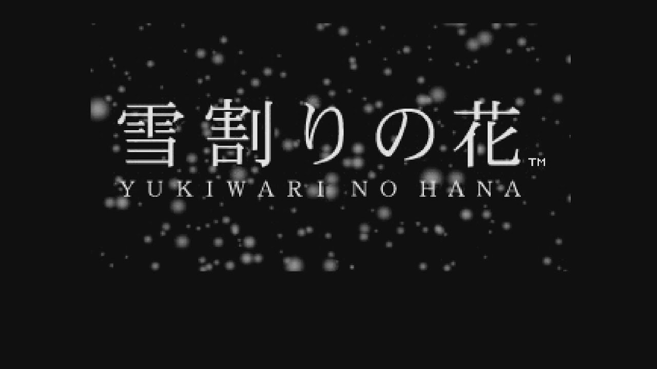 やるドラシリーズ 4 雪割りの花 (雪解け) YouTube やるドラシリーズ 4 雪割りの花 (雪解け) YouTube