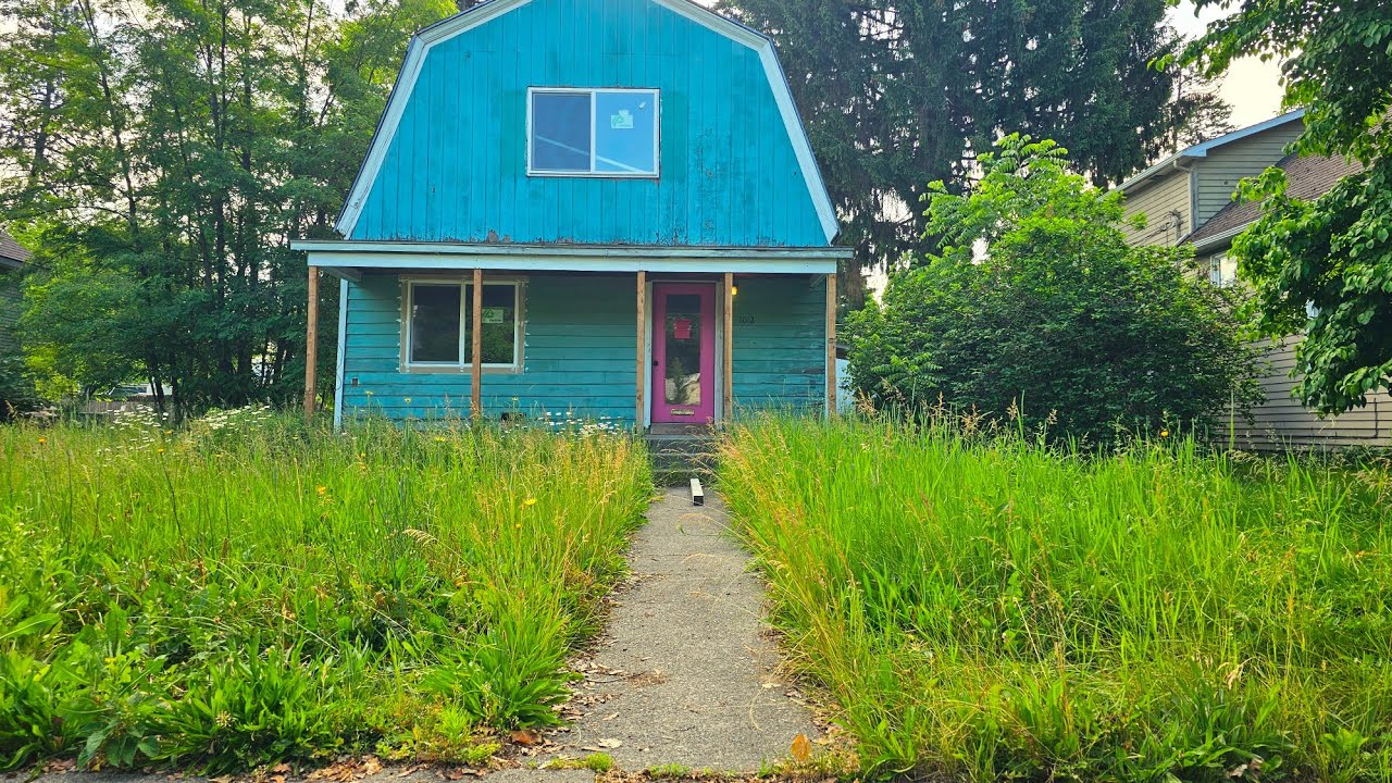 OVERGROWN Lawn INFESTED With Dandelions Gets A Satisfying TRANSFORMATION