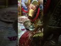 Gomaatha ku vandanam #trending #rudra #trending #short #shiv #bholenath