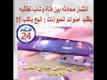 فتاة تهين شاب وتقوله انبح مثل الكلب