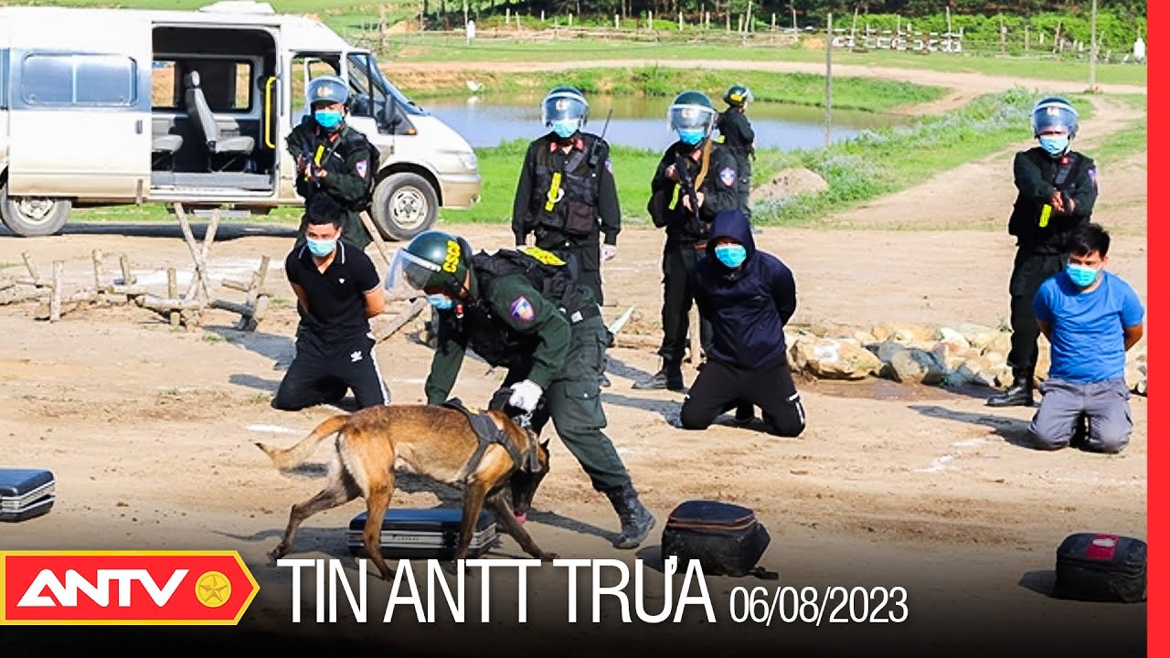 Tin tức an ninh trật tự nóng, thời sự Việt Nam mới nhất 24h trưa 6/8 | ANTV