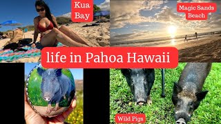 Life in Pahoa Hawaii | Trip to Kona | Kua Bay | Magic Sands Beach, Wild pigs | Vlog 12