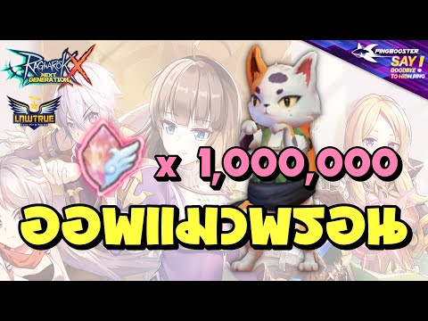 ROX High Wizard ออพแมวด้วย 1 ล้านเพชรชมพู