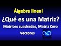 02. ¿Qué es una matriz? ÁLGEBRA LINEAL