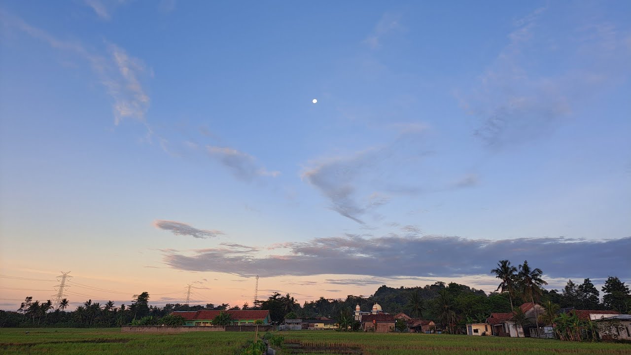 SUASANA PAGI HARI DI SAWAH