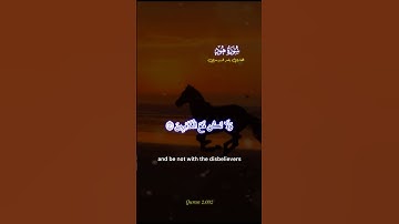 تلاوة مباركة بصوت جميل #quran #اكسبلور #القران_الكريم #ياسر_الدوسري