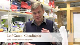 Striving For A Cure For Diabetes