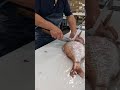 タイ捌く