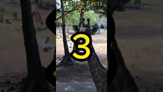 Quick Facts #2