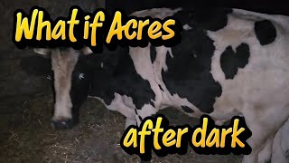 Download Lagu What If Acres After Dark | Cozy Beds \u0026 Cinco’s Obsession with Jeff MP3 Download Lagu What If Acres After Dark | Cozy Beds \u0026 Cinco’s Obsession with Jeff MP3
