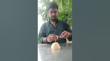 Potato balancing experiment 🤠 #shorts #trending #youtubeshorts