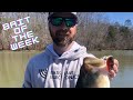 Baitwrx bait of the week