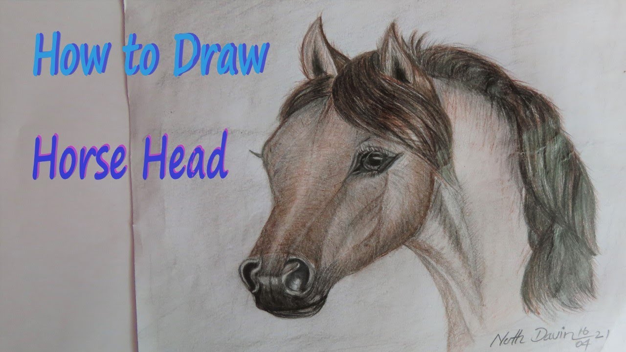 Draw Horse face / Nuth Davin Drawing Arts