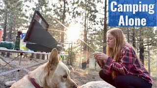 Camping Alone Diaries - Sequoia National Forest - Chicago Stump & Boole Tree