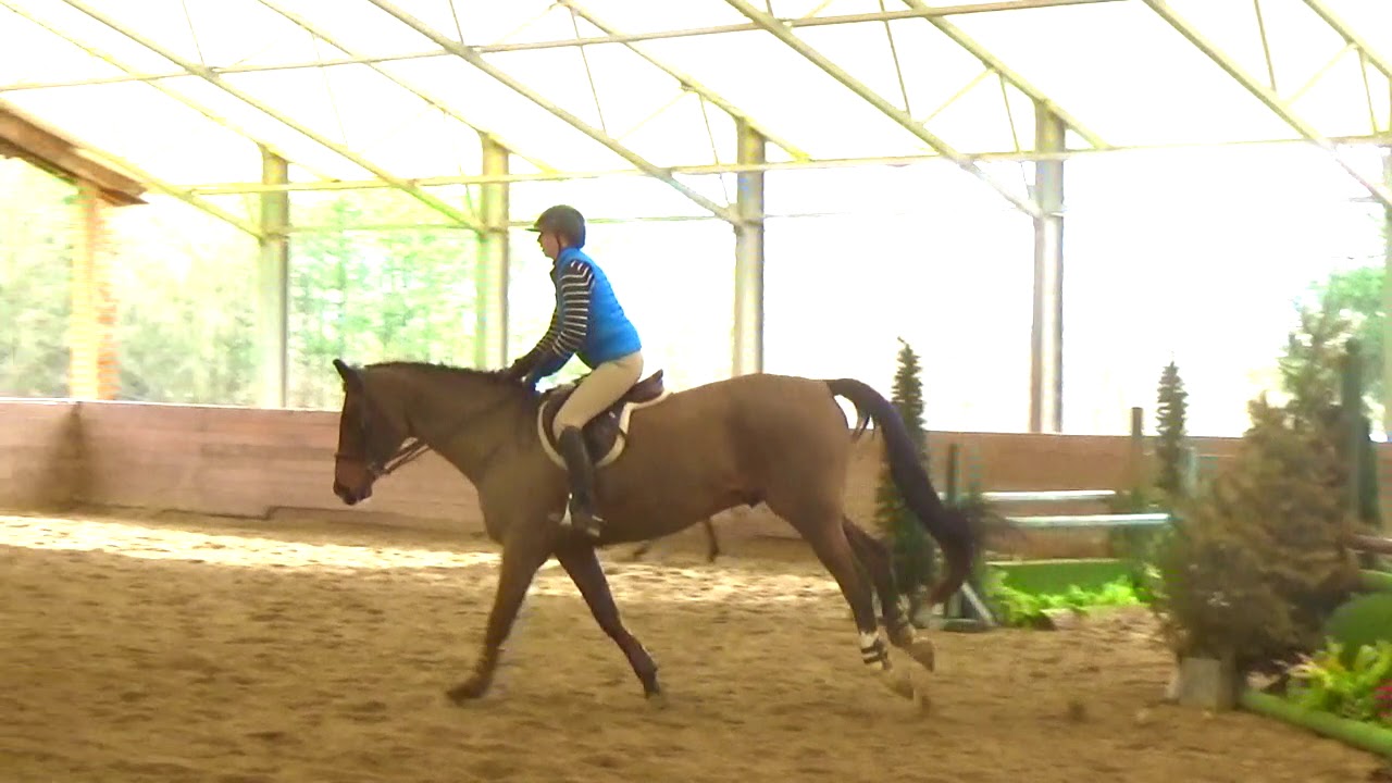 BAKERS DOZEN YouTube