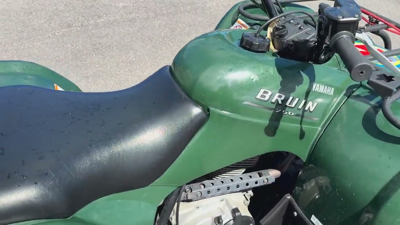 Fyrhjuling  YAMAHA YFM250BRUNIN