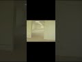 backrooms