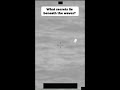 Surveillance Drone Scans Waterway #shorts