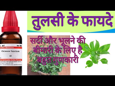 तुलसी के फायदे।Tulsi ke benefit/ocimum sanctum mother tincture