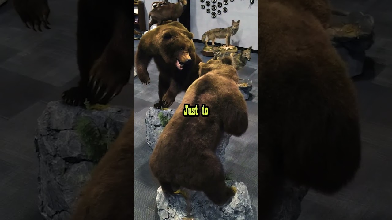 Most BADASS trophy room  