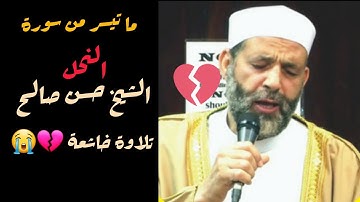 ما تيسر من سورة النحل بصوت الشيخ المقريء حسن صالح