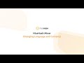 NiceHash Miner - Changing Language and Currency