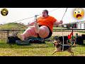 Try Not To Laugh Challenge 😂 Funniest Fails & Memes Compilation 2026 #44