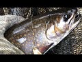 Trout fishing 2026 in Canada with lure, bait and fly! #troutfishing #fishing2026