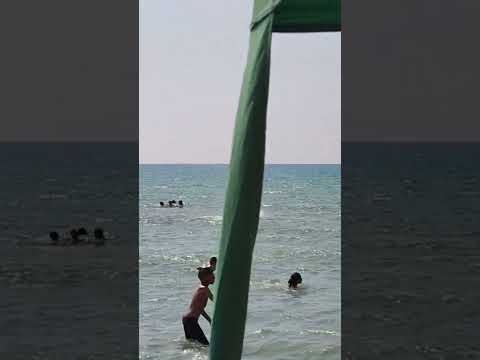 شاطئ الشلف الحمد لله