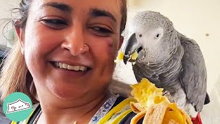 Sassy Parrot Is Friends with Only ONE Person