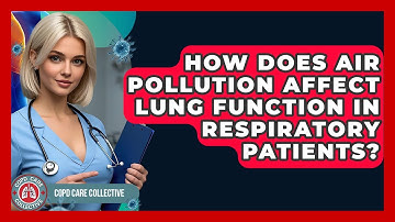How Does Air Pollution Affect Lung Function in Respiratory Patients? | COPD Care Collective