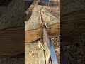 Satisfying Split 🪓 of the Yuletide Log 🪵 #lumberjack #satisfying #shorts