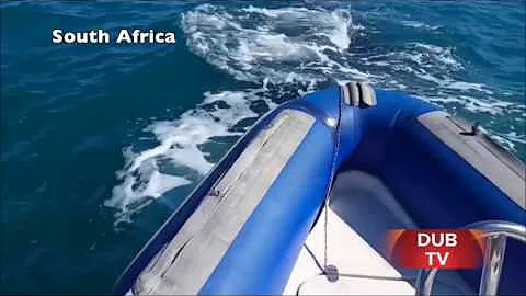 Fisherman has close encounter with massive whale
