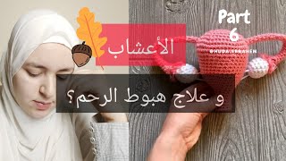 علاج هبوط الرحم بالأعشاب -الجزء السادس