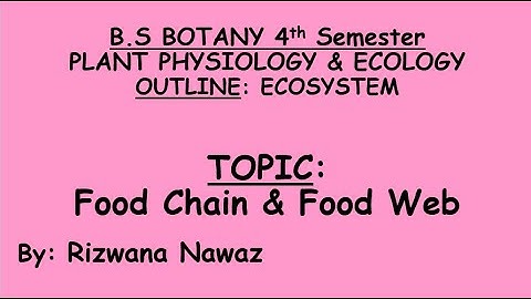 Food chain & Food web by Rizwana Nawaz