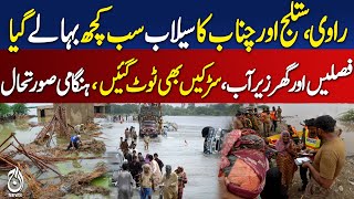 Ravi, Sutlej, Chenab floods destroy homes and crops | Flood in Punjab | Flood in Pakistan 2025